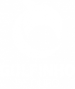alpha